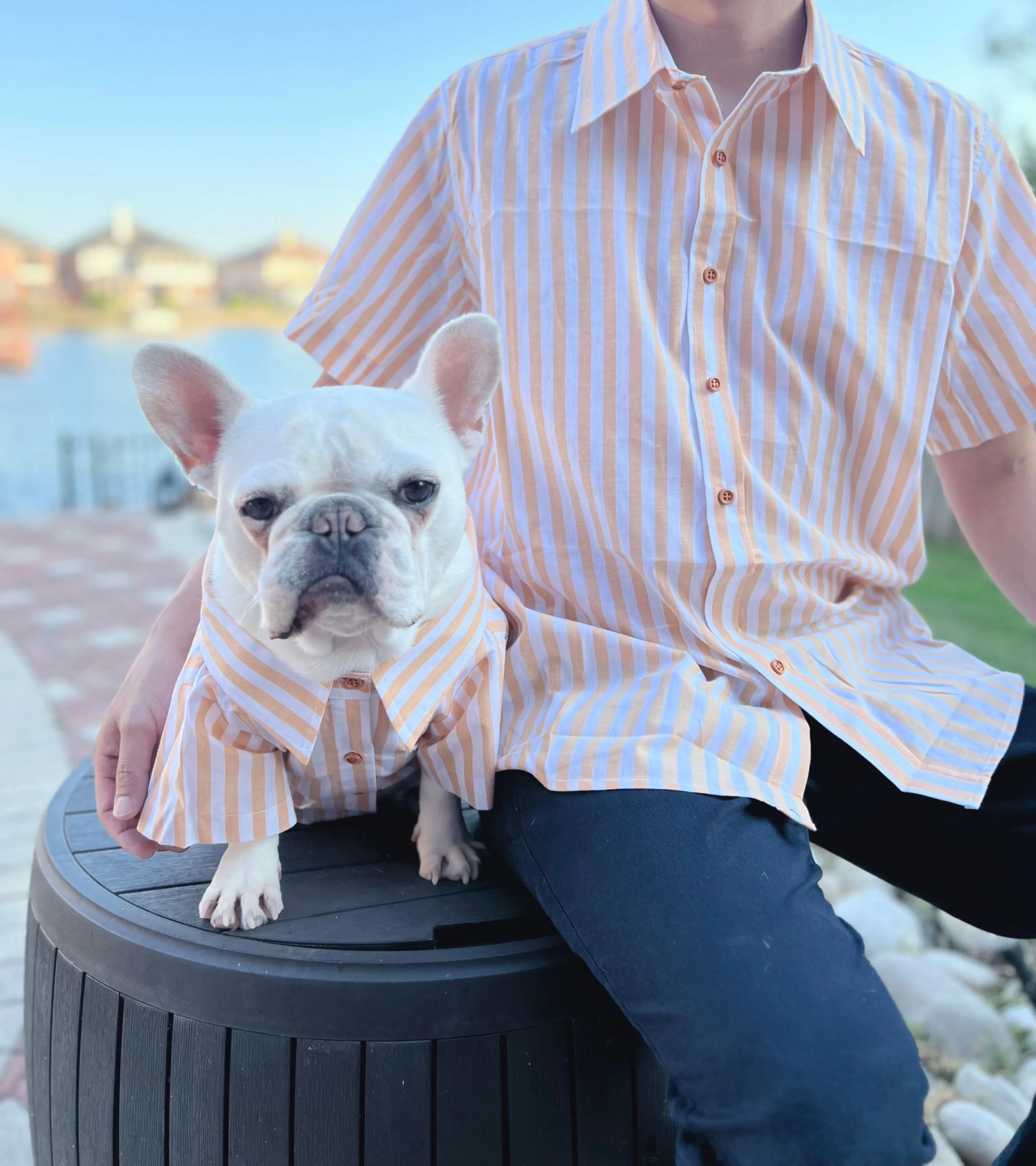 Classic Striped Owner and Pet Matching Button Shirt / Bandana