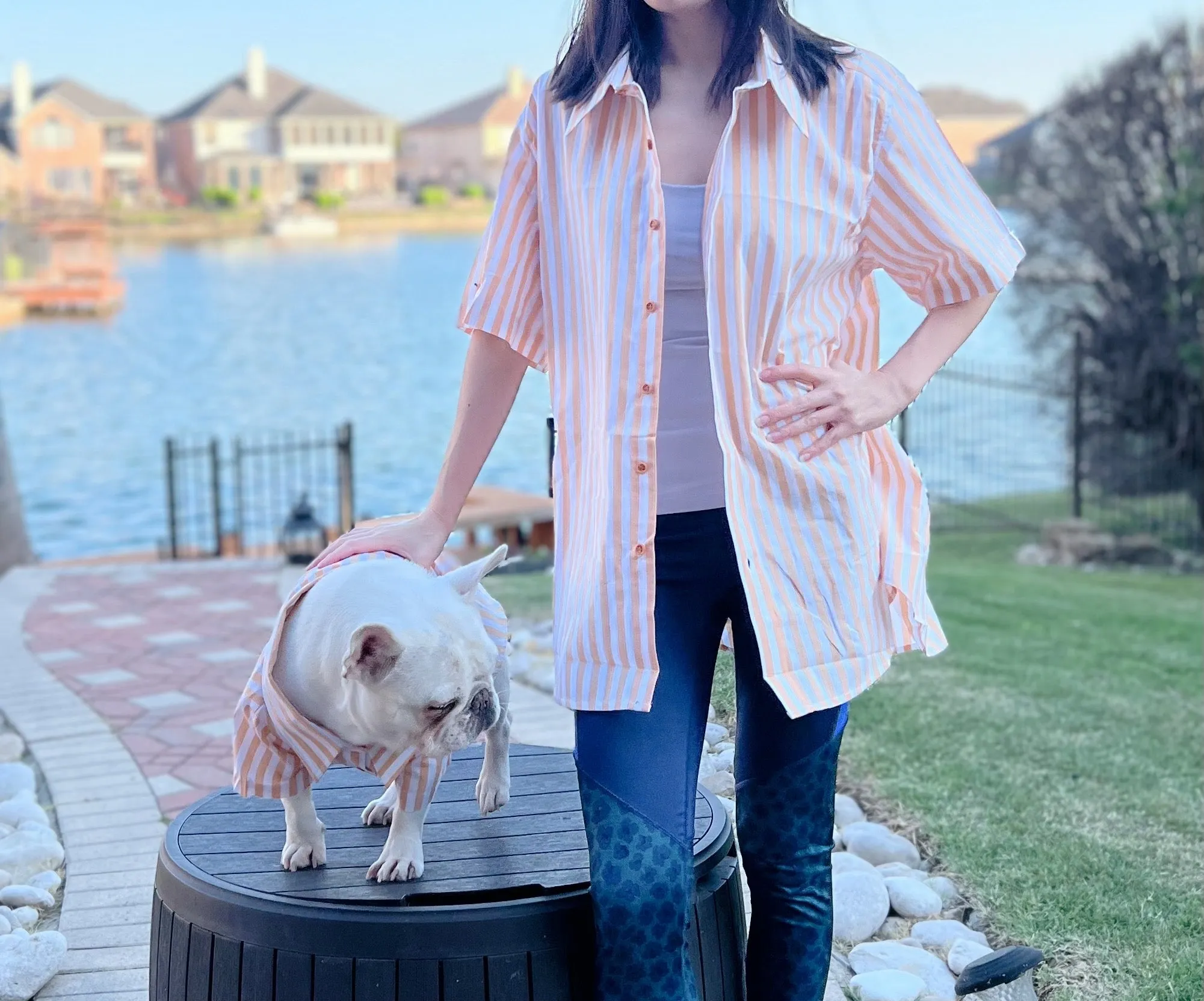 Classic Striped Owner and Pet Matching Button Shirt / Bandana